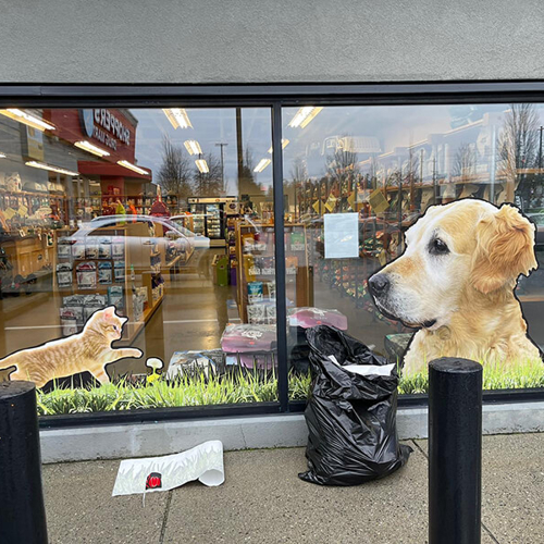 Window & Wall Graphics